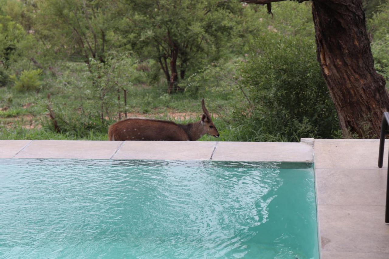 Manzini River House - Mjejane Private Game Reserve, Greater Kruger National Park Hectorspruit Экстерьер фото